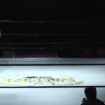 MiavsMatsumoto_Still295~0.jpg