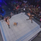 miaimpact20141107_Still2435.jpg