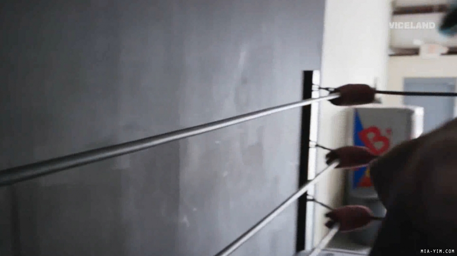 miathewrestlers_Still480.jpg