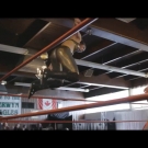 miathewrestlers_Still037.jpg