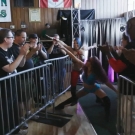 miathewrestlers_Still915.jpg