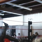 miathewrestlers_Still965.jpg