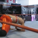 miathewrestlers_Still968.jpg