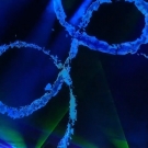 mianxt20200812_Still121.jpg