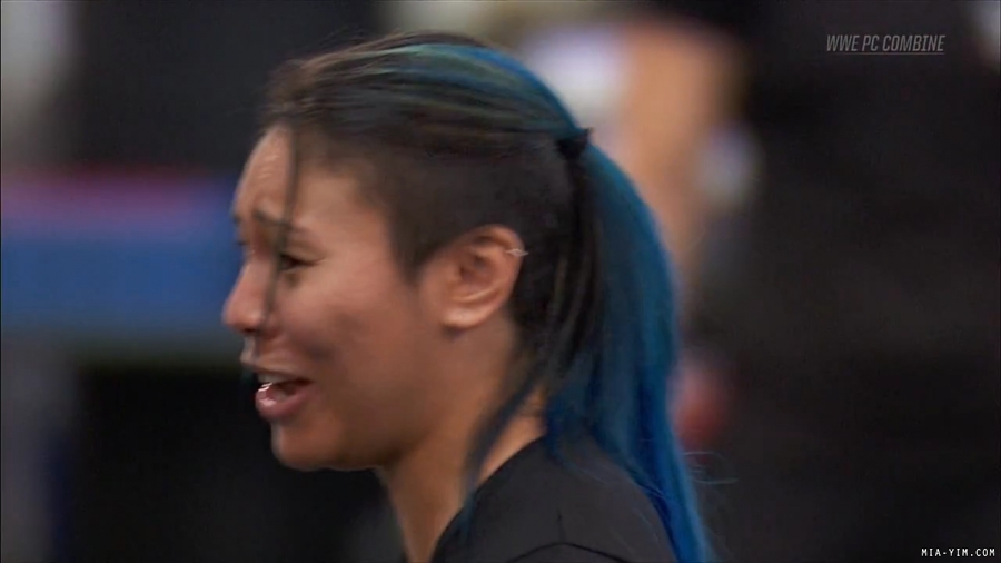 miapccombine2019_Still1161.jpg