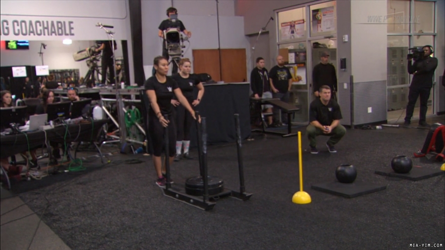 miapccombine2019_Still1185.jpg