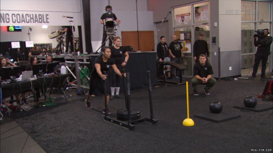miapccombine2019_Still1186.jpg