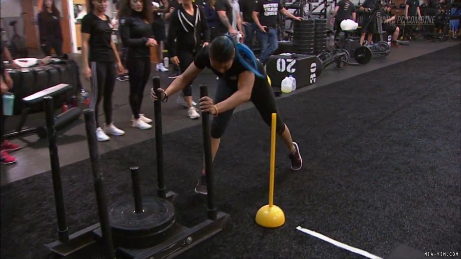 miapccombine2019_Still1199.jpg