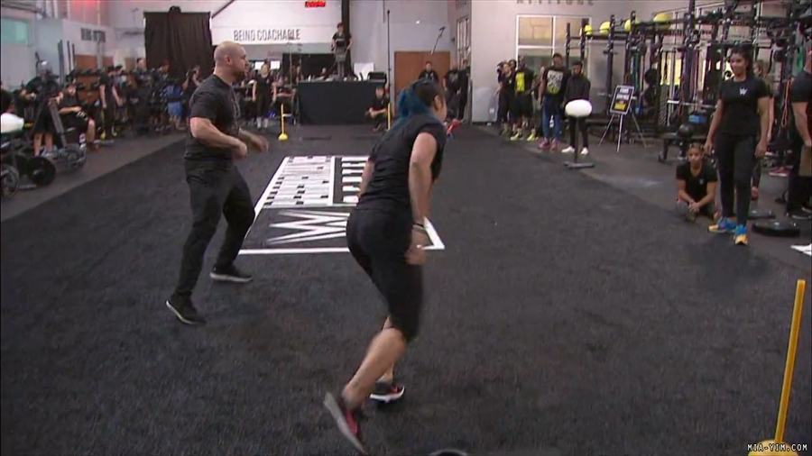 miapccombine2019_Still1214.jpg