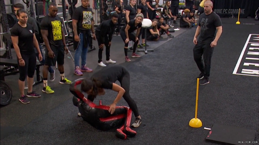 miapccombine2019_Still1263.jpg