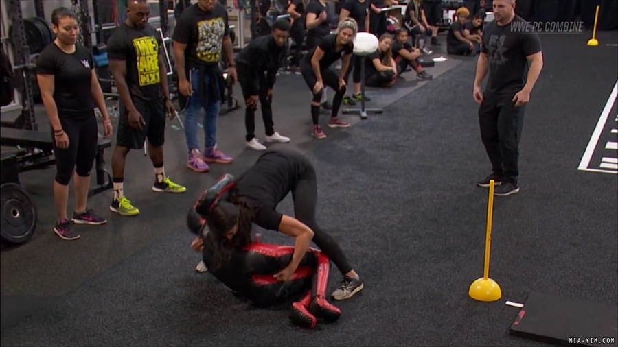 miapccombine2019_Still1264.jpg
