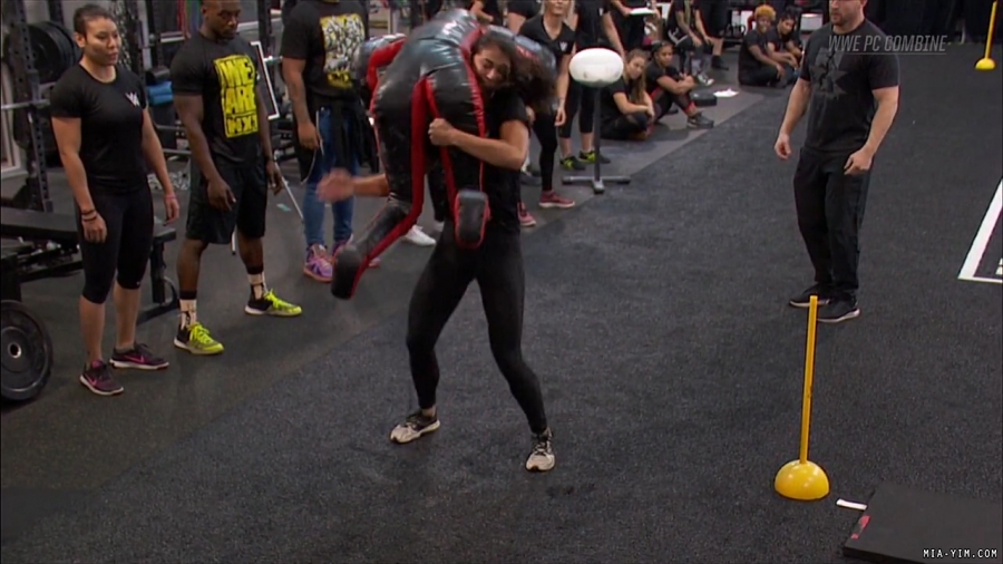 miapccombine2019_Still1265.jpg