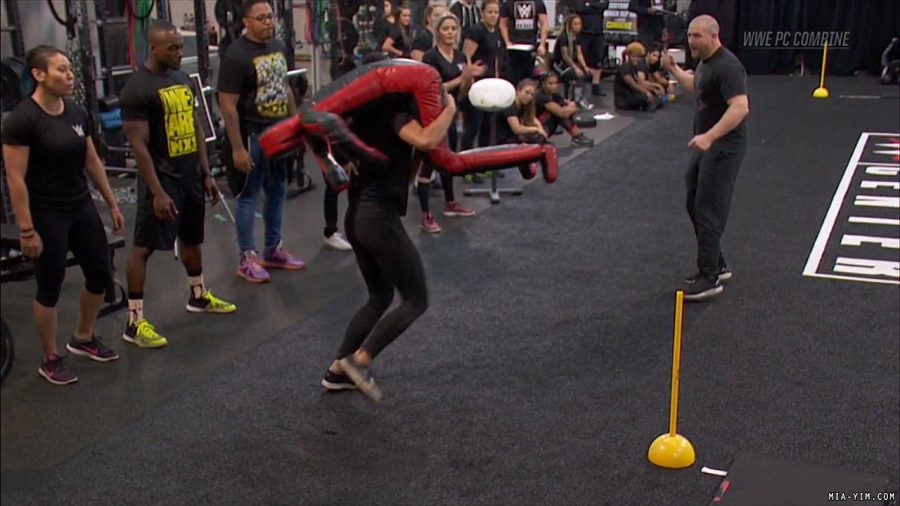 miapccombine2019_Still1266.jpg