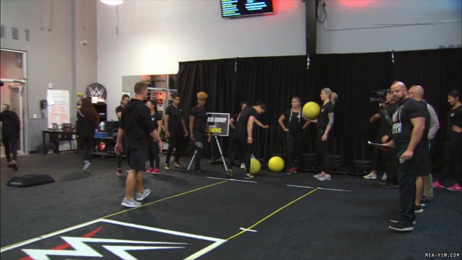 miapccombine2019_Still171.jpg