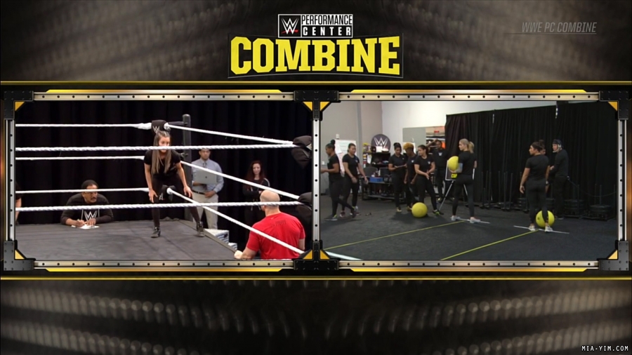 miapccombine2019_Still242.jpg