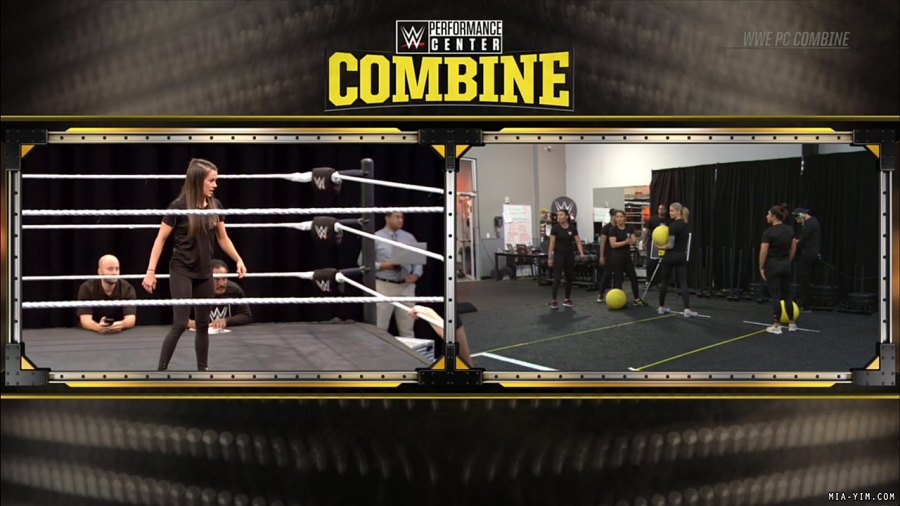 miapccombine2019_Still246.jpg