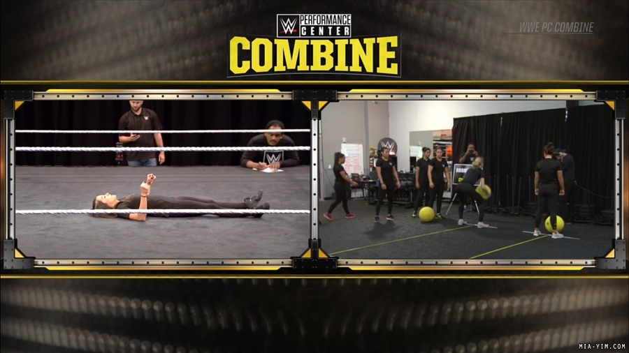 miapccombine2019_Still252.jpg