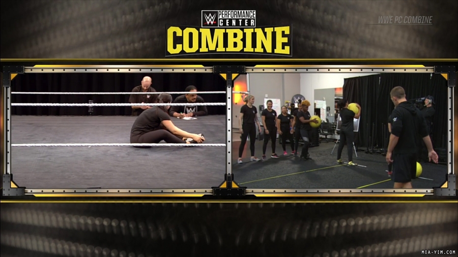 miapccombine2019_Still264.jpg