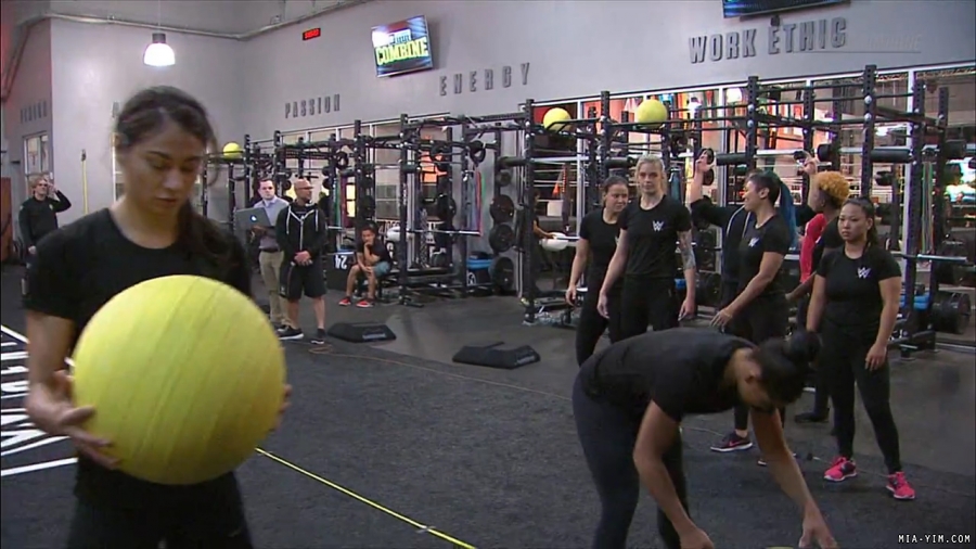miapccombine2019_Still269.jpg