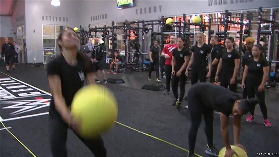 miapccombine2019_Still274.jpg