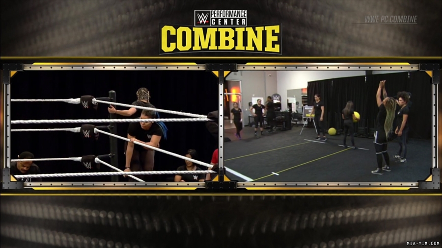 miapccombine2019_Still389.jpg