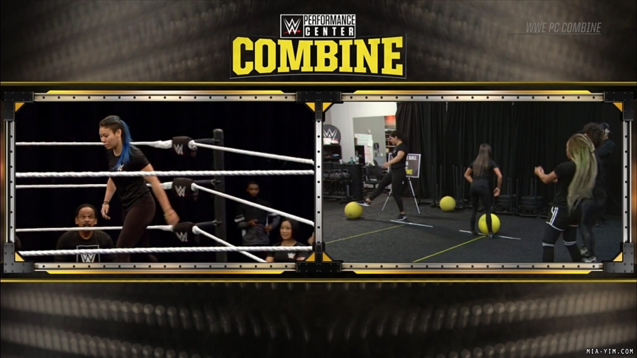 miapccombine2019_Still391.jpg