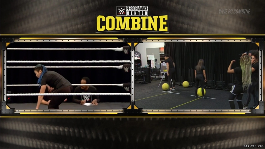 miapccombine2019_Still392.jpg