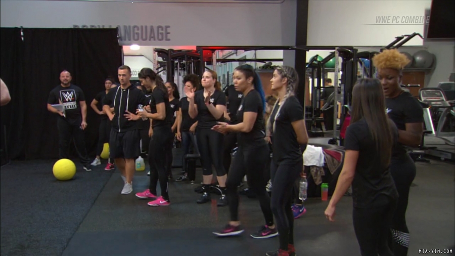 miapccombine2019_Still480.jpg