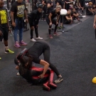 miapccombine2019_Still1264.jpg