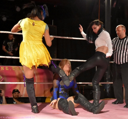 shine31_2810329.jpg