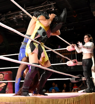 shine31_2810729.jpg