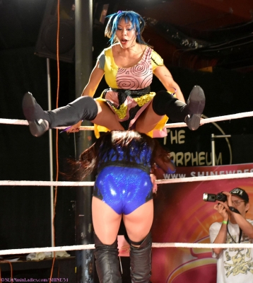 shine31_2810929.jpg