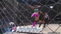 Impact20160223_Still176.jpg
