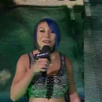 Impact20170112_Still034.jpg