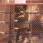 MiavsAllysinKay_Still200.jpg