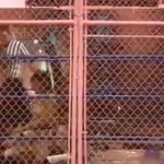 MiavsAllysinKay_Still367.jpg