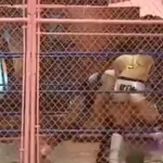 MiavsAllysinKay_Still402.jpg