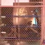 MiavsAllysinKay_Still428.jpg
