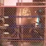MiavsAllysinKay_Still430.jpg