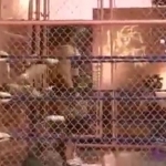 MiavsAllysinKay_Still433.jpg