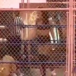 MiavsAllysinKay_Still522.jpg