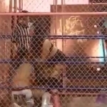 MiavsAllysinKay_Still529.jpg