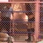 MiavsAllysinKay_Still903.jpg