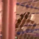 MiavsAllysinKay_Still926.jpg