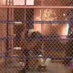 MiavsAllysinKay_Still970.jpg