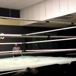 MiavsDee_Still1005.jpg
