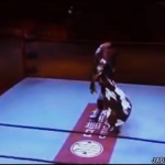 MiavsIvelisse_Still062.jpg