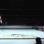 MiavsMatsumoto_Still599~0.jpg
