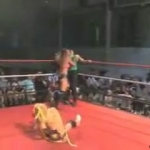 MiavsMsChifvsHaze_Still209.jpg