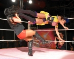 shine31_2837529.jpg